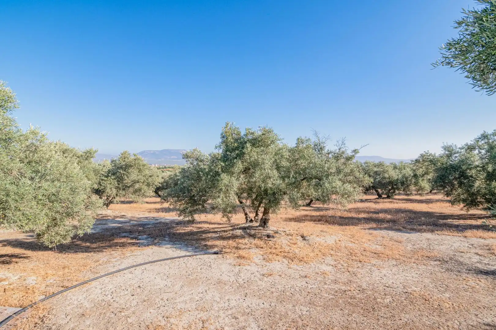 Apartments for sale in Santa Fe