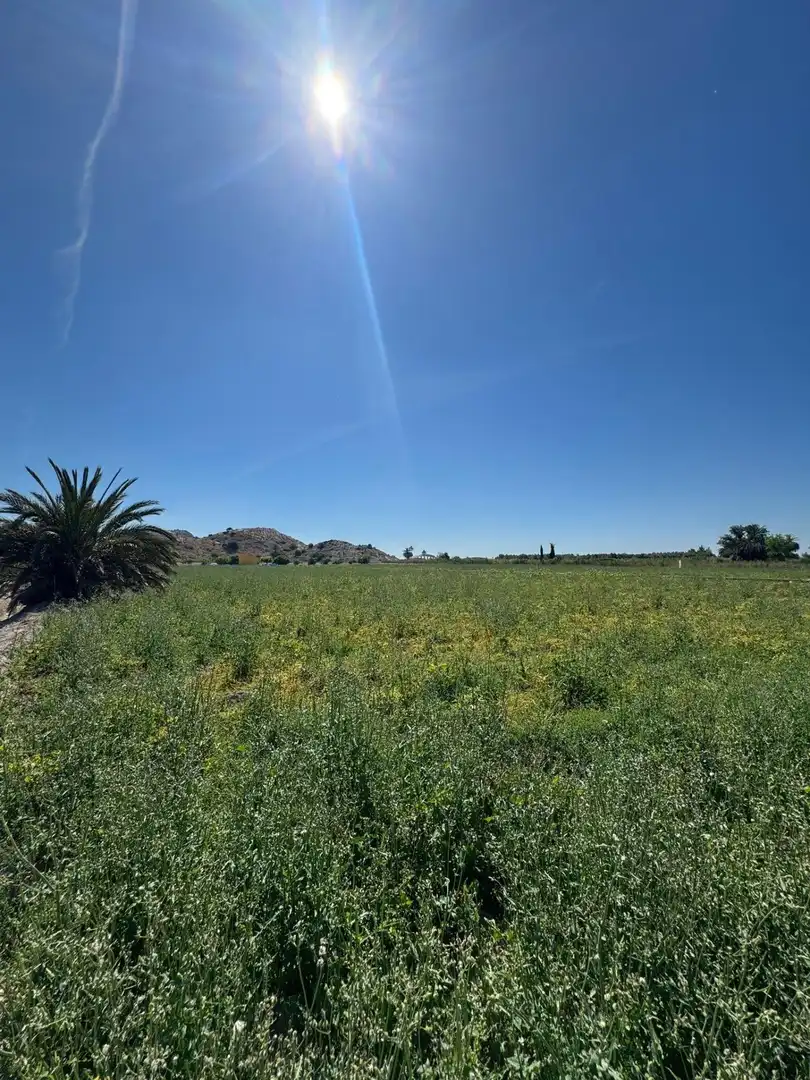 Finca rústica en venta en Cox con Jardín privado