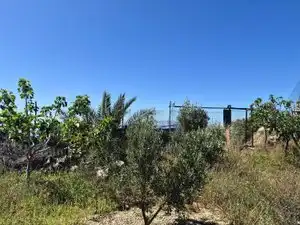 Terreno rustico in vendita a Calle las Cuevas, imagen 7