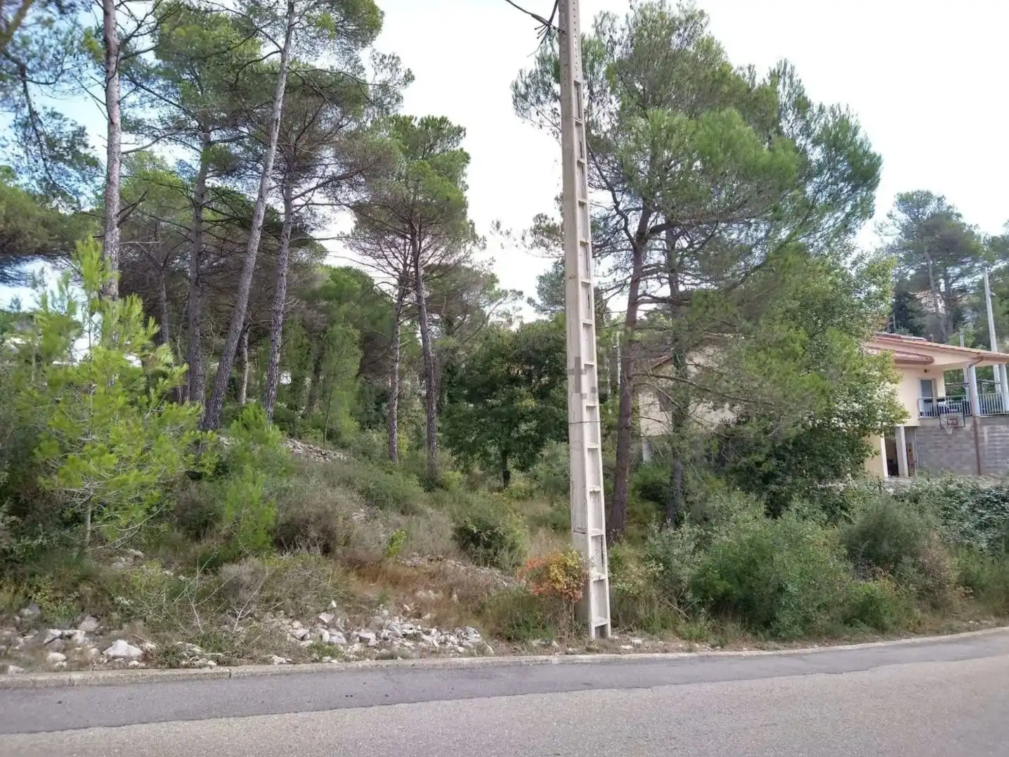 Terreny residencial en venda a Urbanitzacio Font Bosc 1835, imagen 2