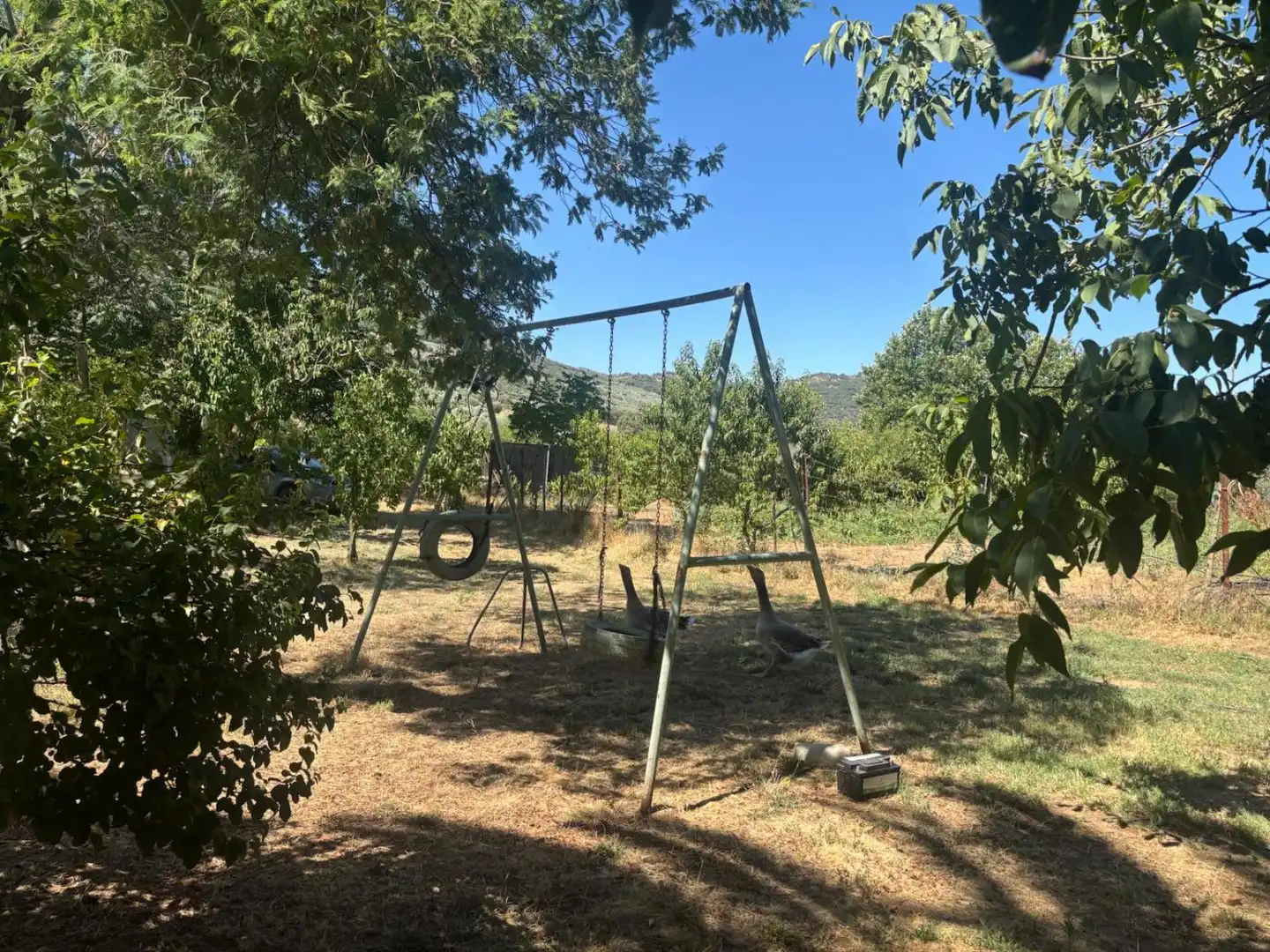 Xalet en venda a Malagón, imagen 6