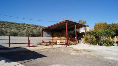 CHALET,  30,000 M2  DOS NAVES, 2 FANEGAS DE OLIVOS CON 2 POZOS., imagen 3