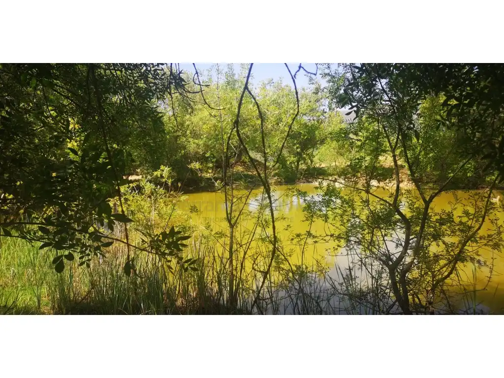 Casa rústica en venda a Gaucín, imagen 33
