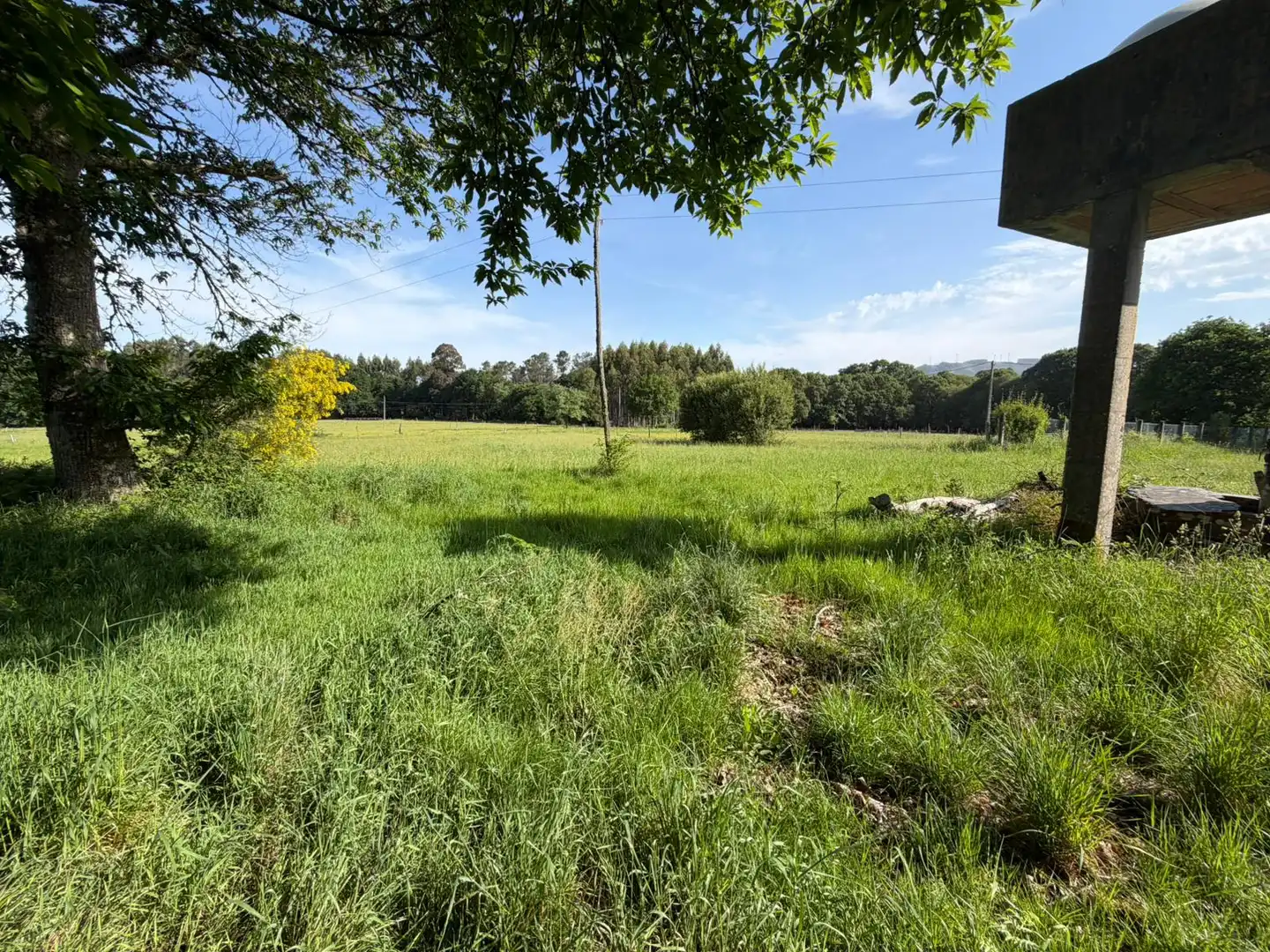 Finca rústica en venta en Xermade con Jardín privado