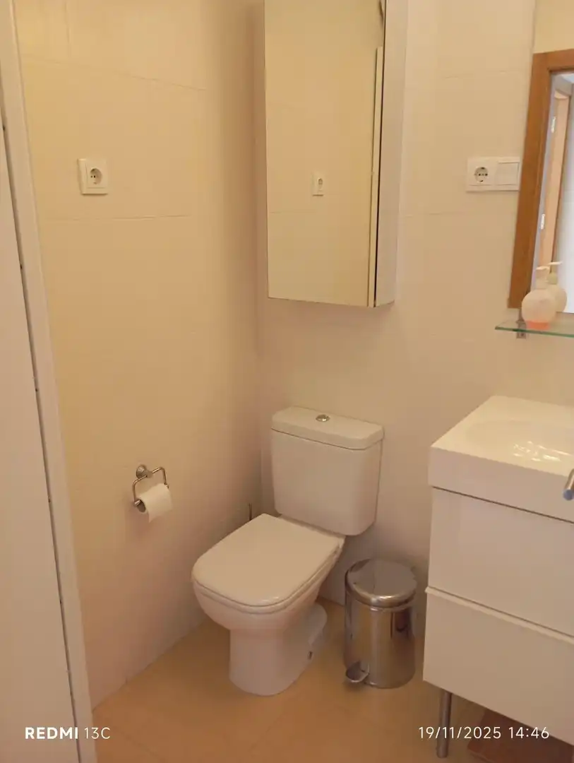 Ático con piscina en venta en Bulevar BULEVAR CENTRAL CAÑADAS, imagen 6