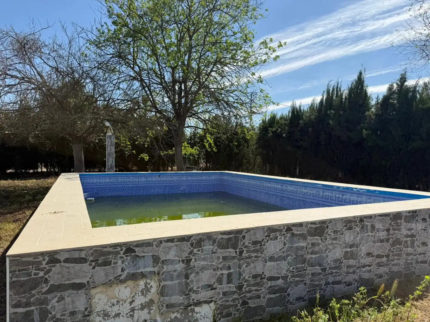 Swimming pool of Houses for sale in Utrera  with Private garden, Terrace and Swimming Pool