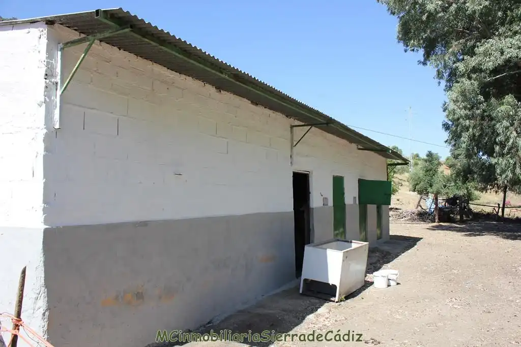 Casa rústica amb piscina en venda a N/A, imagen 55