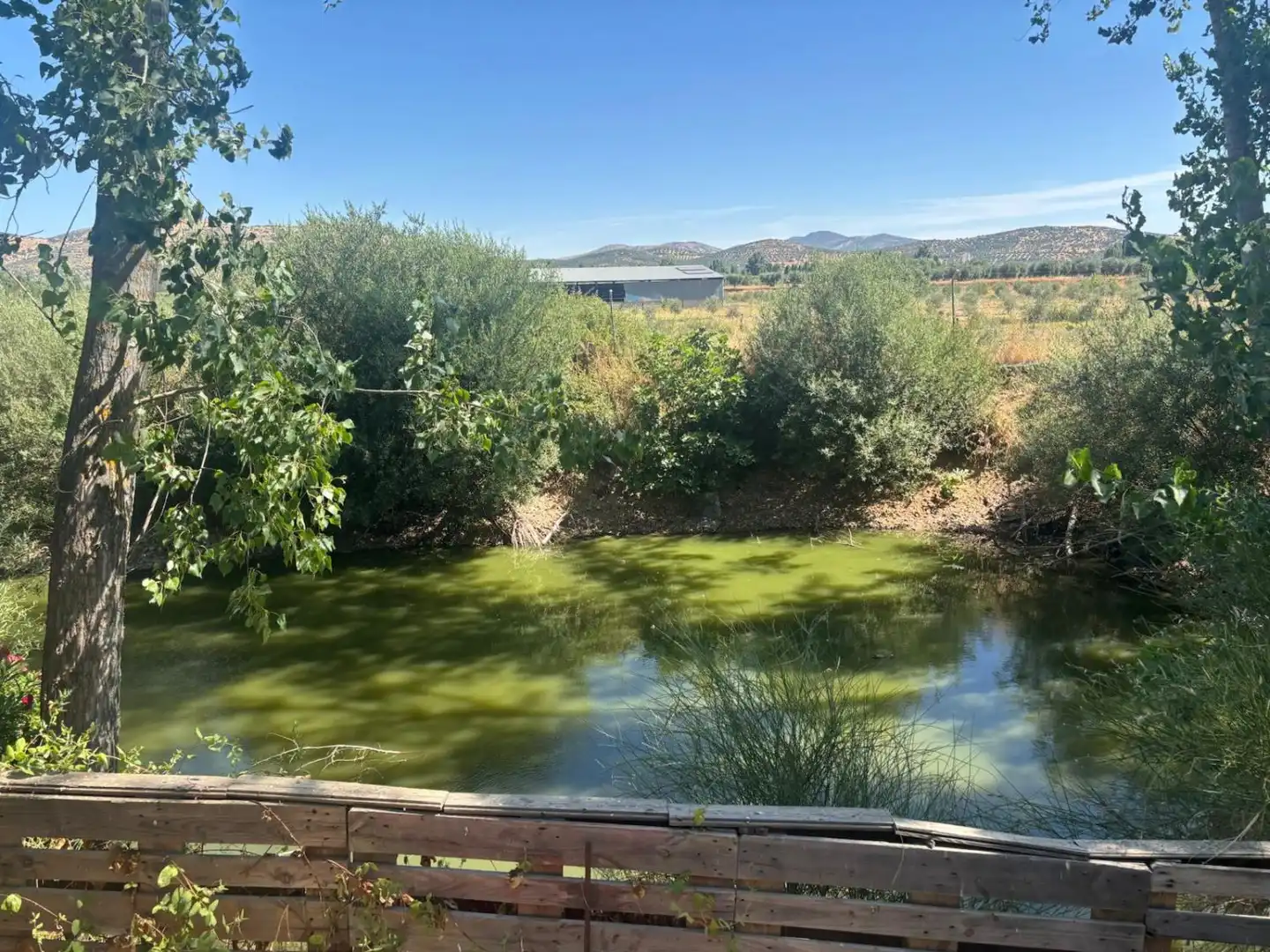 Xalet en venda a Malagón, imagen 4