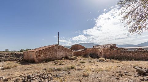 Finca rústica en Gor, imagen 4