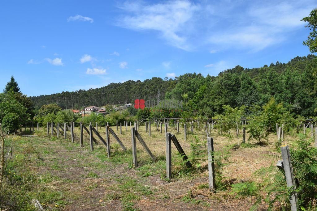 Casa o xalet en venda en Rianxo amb Jardí privat