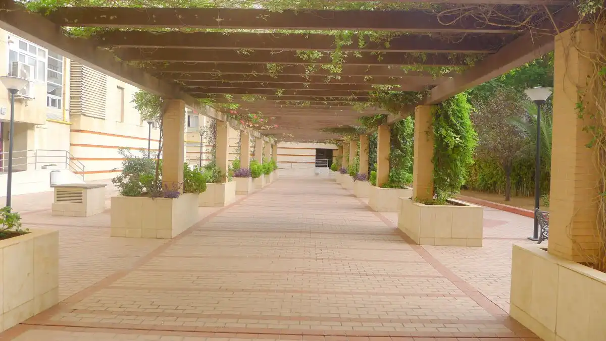 Apartament amb ascensor de lloguer a Luis de Morales, imagen 15