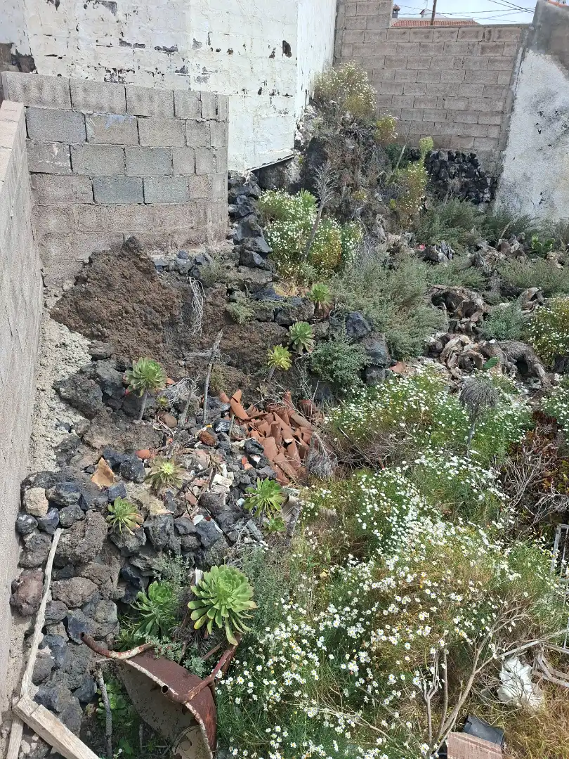 Jardín de Finca rústica en venta en Santiago del Teide con Jardín privado