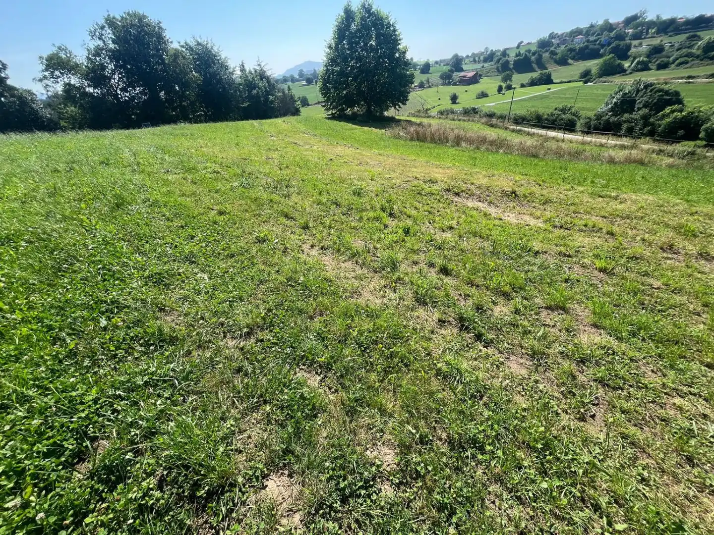 Terreni e lotti in vendita a CA-650, imagen 2