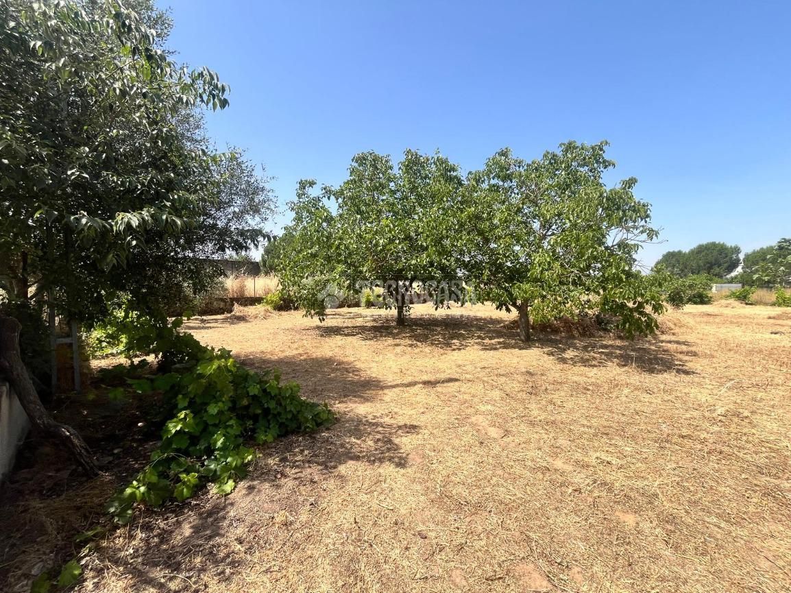 Grundstücke zum Verkauf in Talavera de la Reina