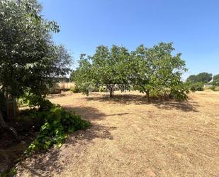 Land for sale in Talavera de la Reina