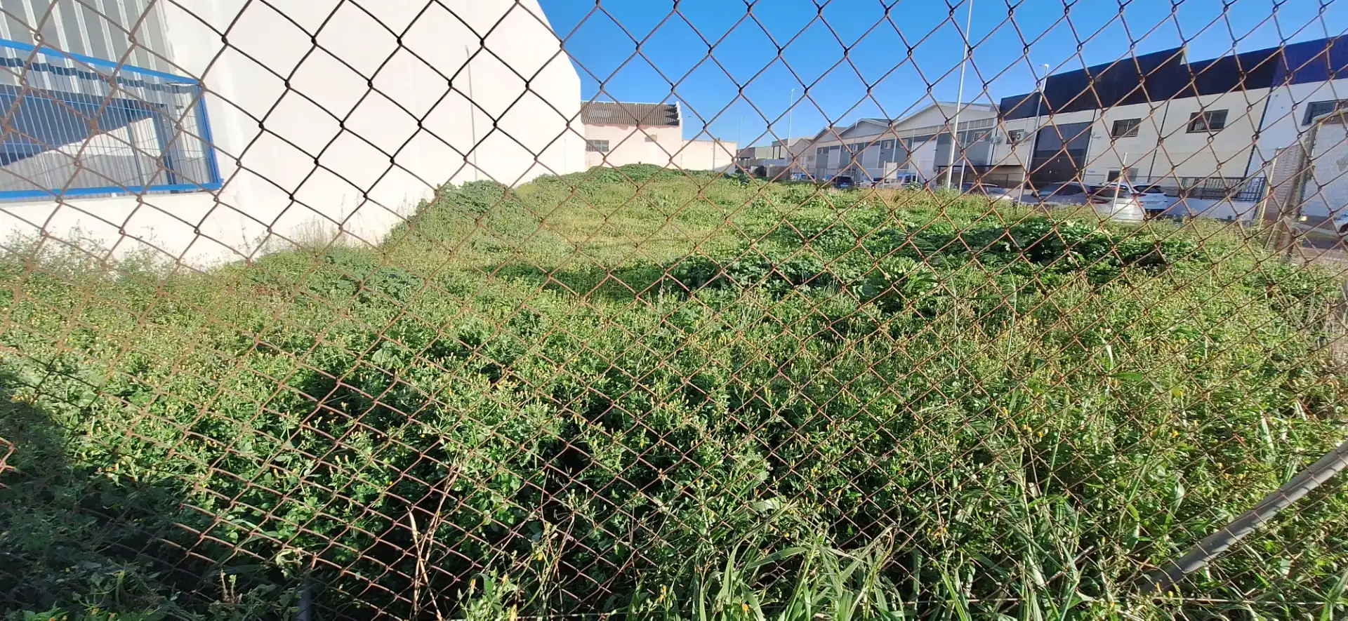 Terreno industrial en venta en Catarroja