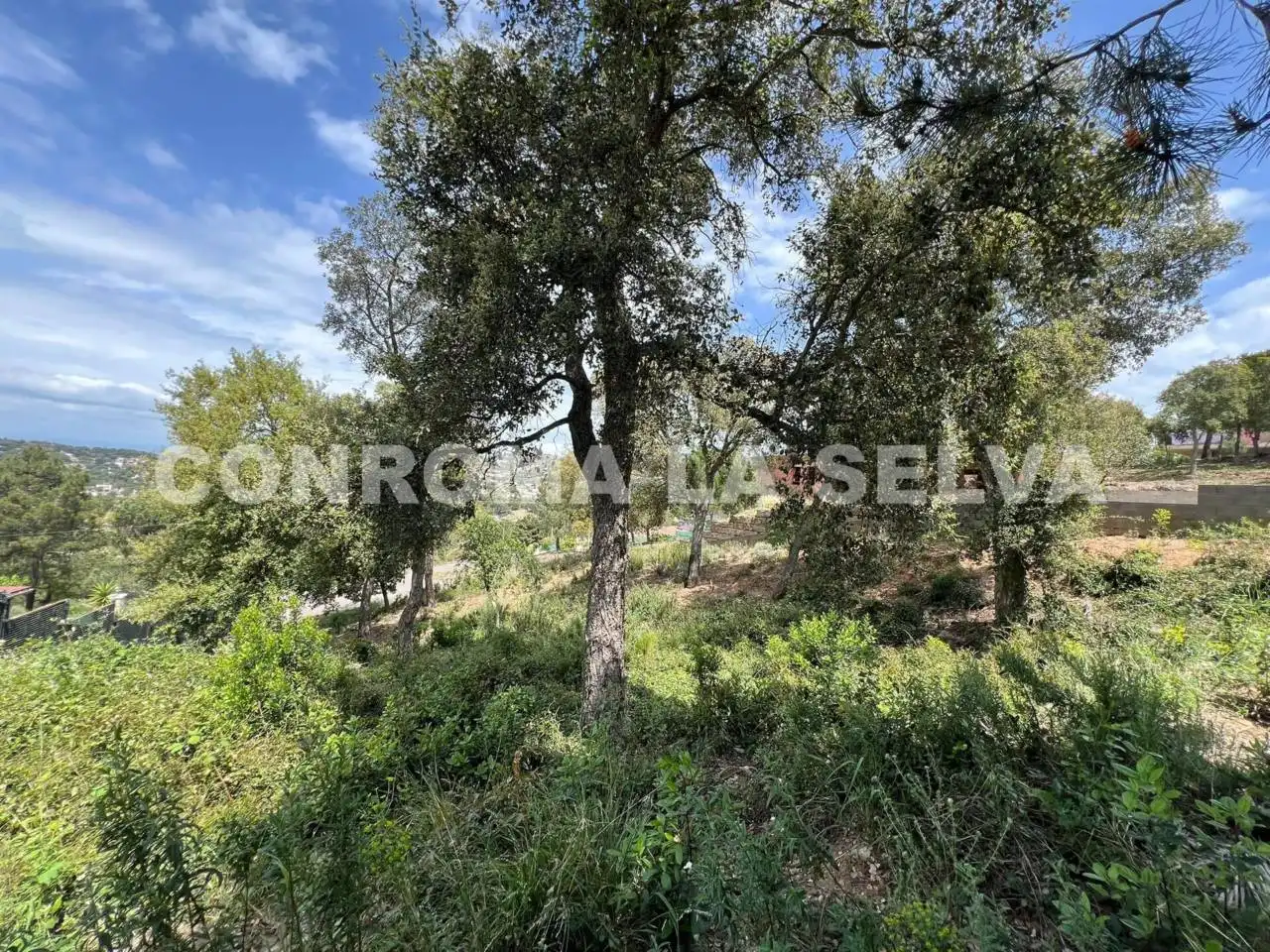Rustikales Grundstück zum Verkauf in Lloret Residencial - Montlloret, imagen 14