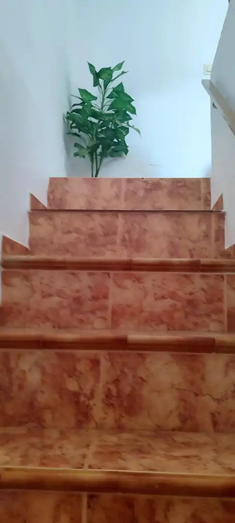 Maison rustique à vendre à Serón, imagen 19