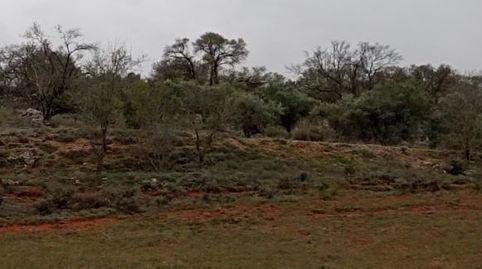 Foto 3 de Residencial en venta en Villarejo de Salvanés, Madrid