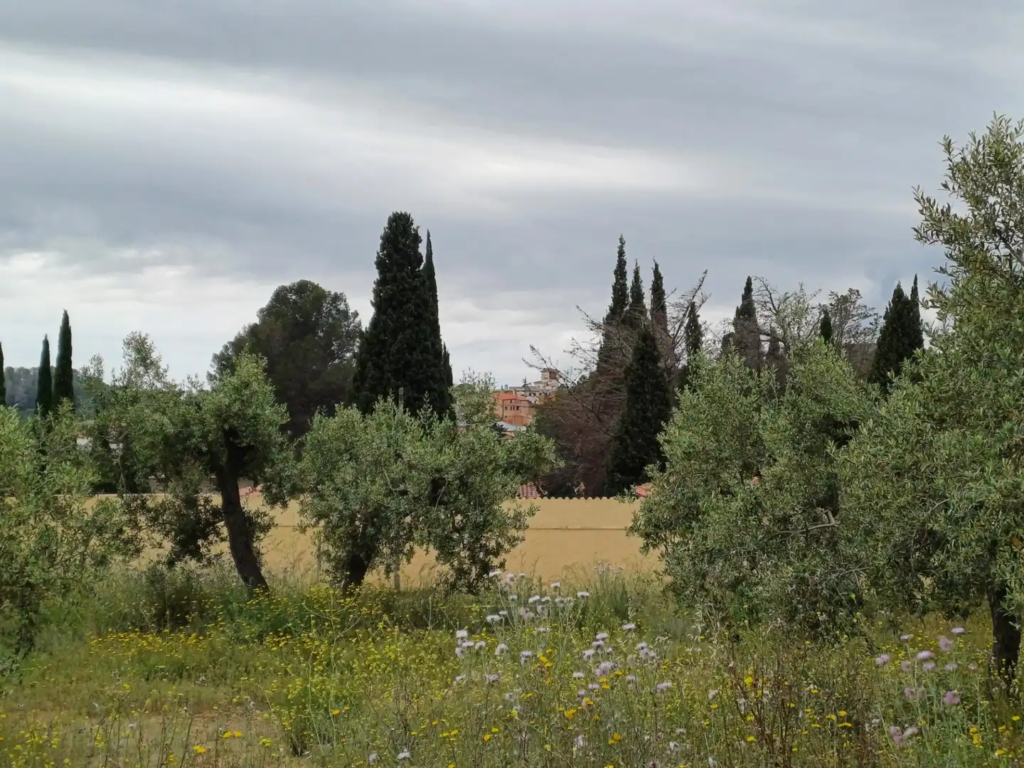 Terreno rustico in vendita a Carrer Carretera del Castell, imagen 7
