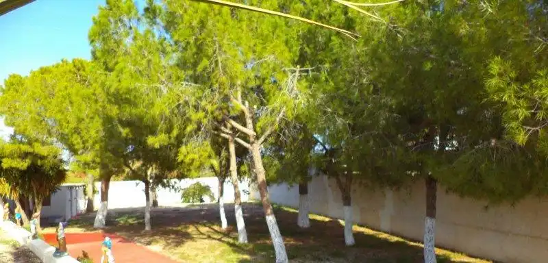 Vista exterior de Casa o xalet en venda en Mutxamel amb Calefacció, Jardí privat i Terrassa