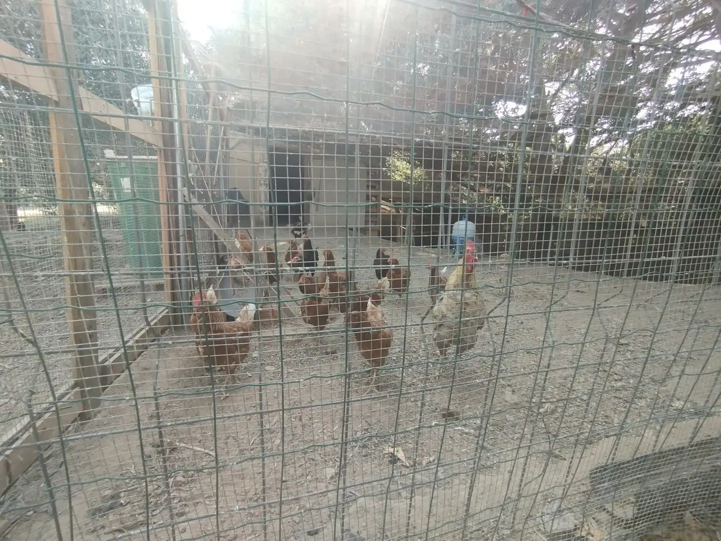 Finca rústica en venda a La Punxa