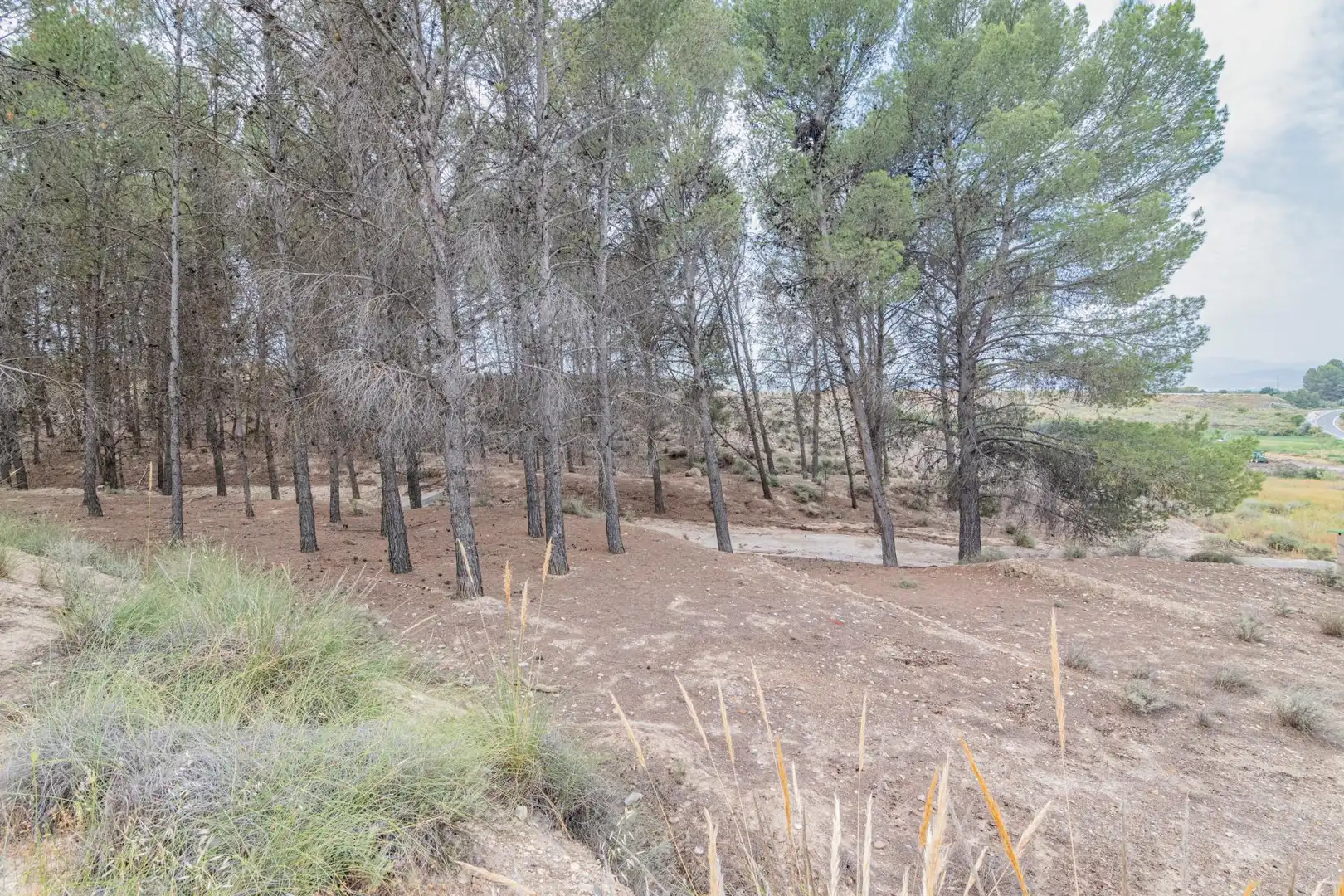 Terreni e lotti in vendita a Baza, imagen 46