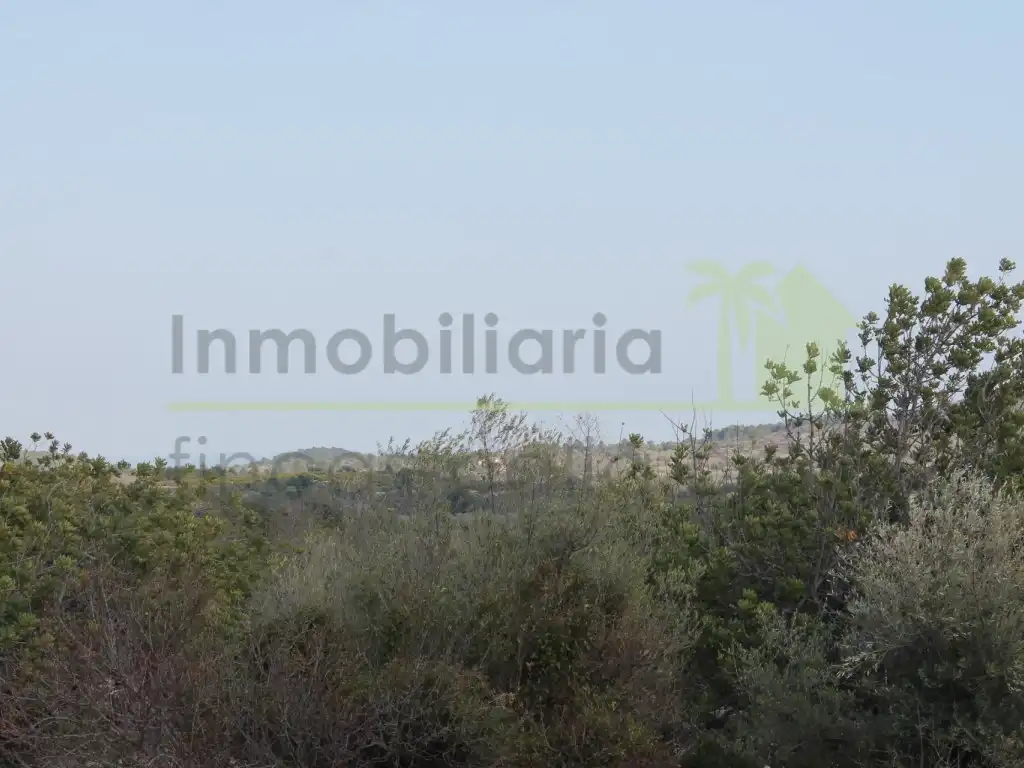 Rural land for sale in Poligono Poligono 50, imagen 8