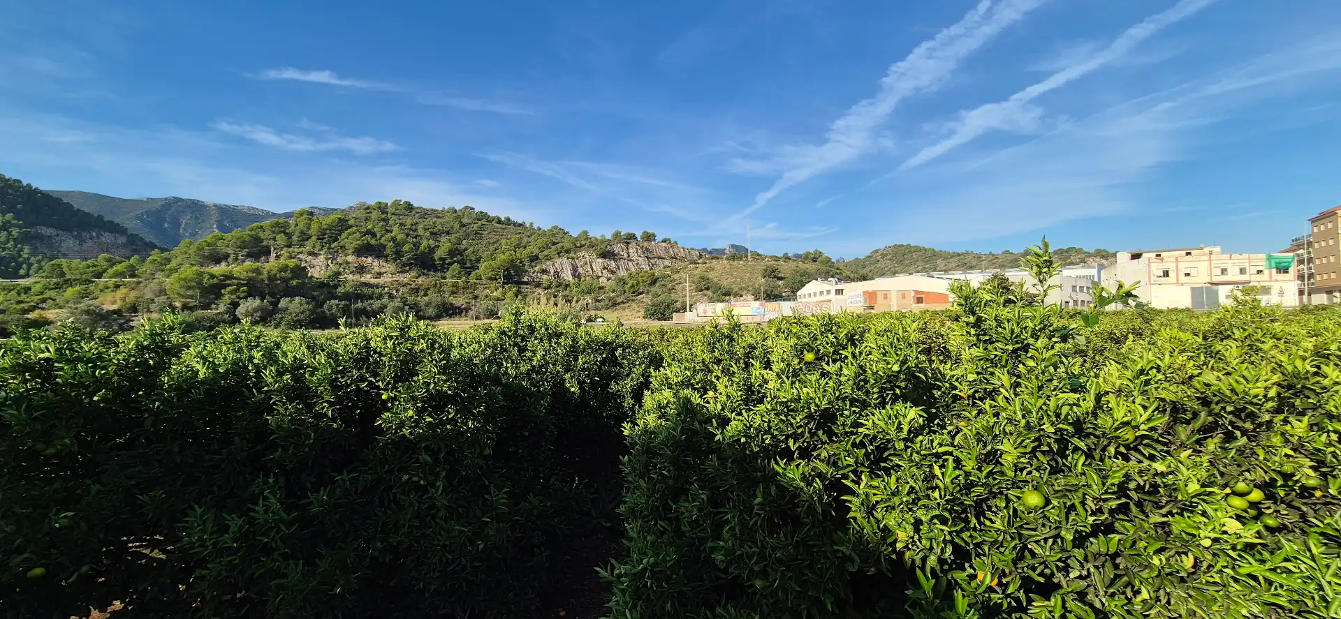 Finca rústica en venta en Favara con Jardín privado, Terraza y Piscina