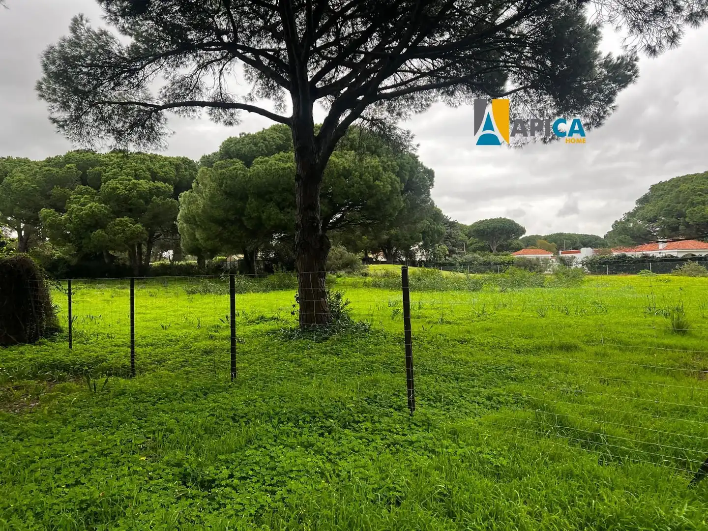 Terrenys i solars en venda a La Banda - Campo de Fútbol, imagen 5