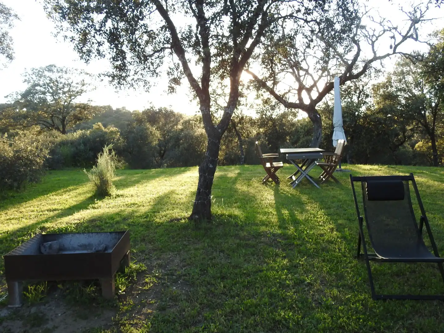 Garden of Land for sale in Cervera de los Montes