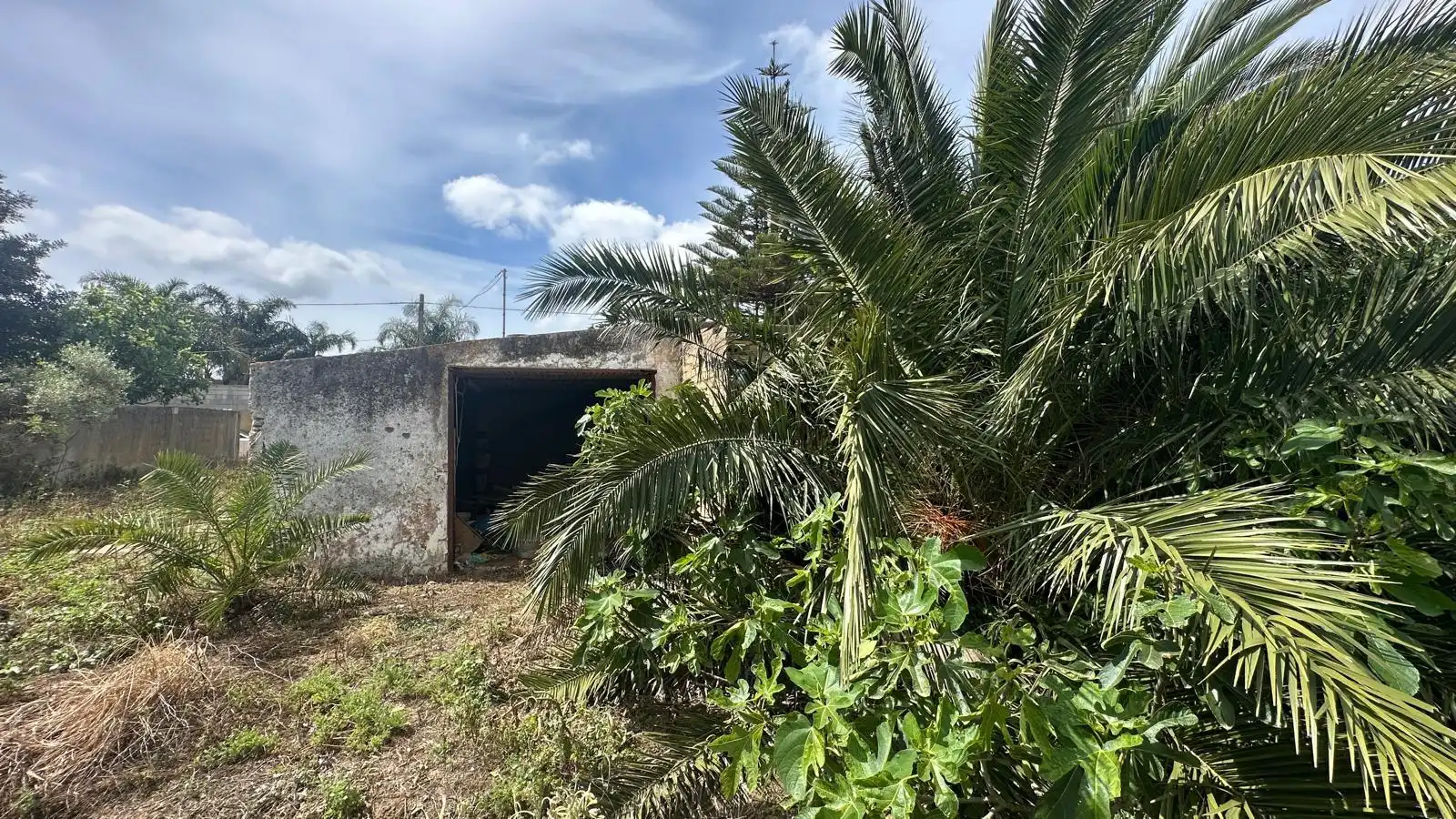 Finca rústica en venda en Conil de la Frontera