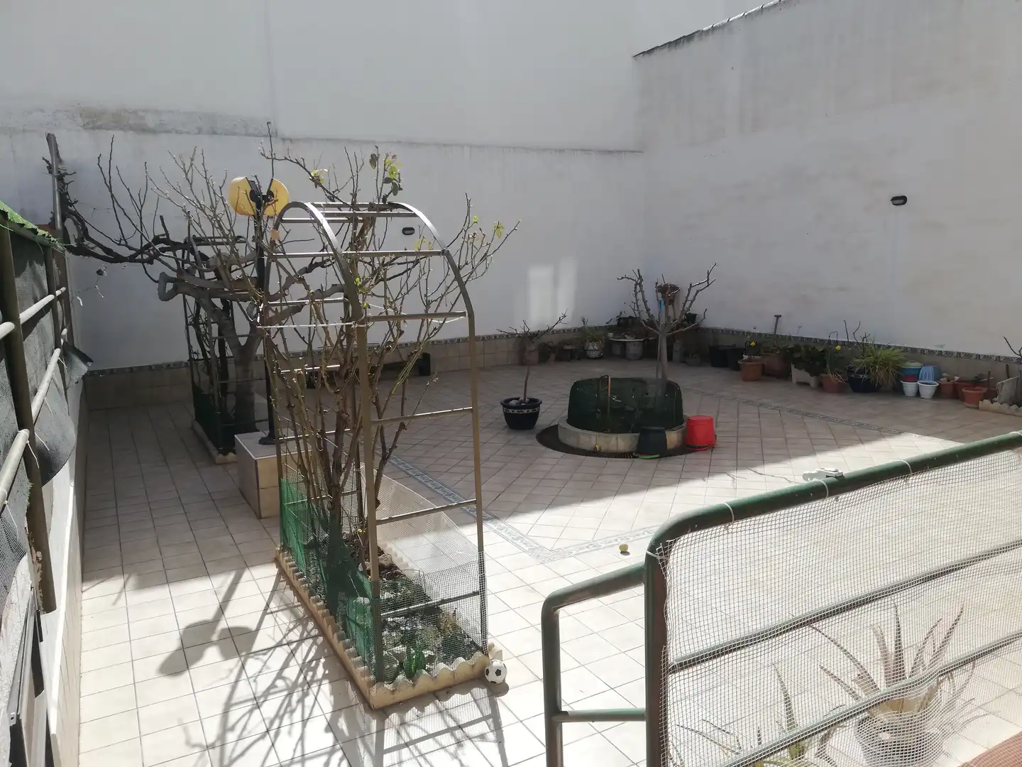 Jardí de Casa o xalet en venda en Almansa amb Calefacció