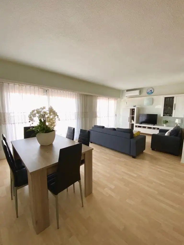 Apartament amb terrassa de lloguer a Paseo maritim neptu, imagen 8