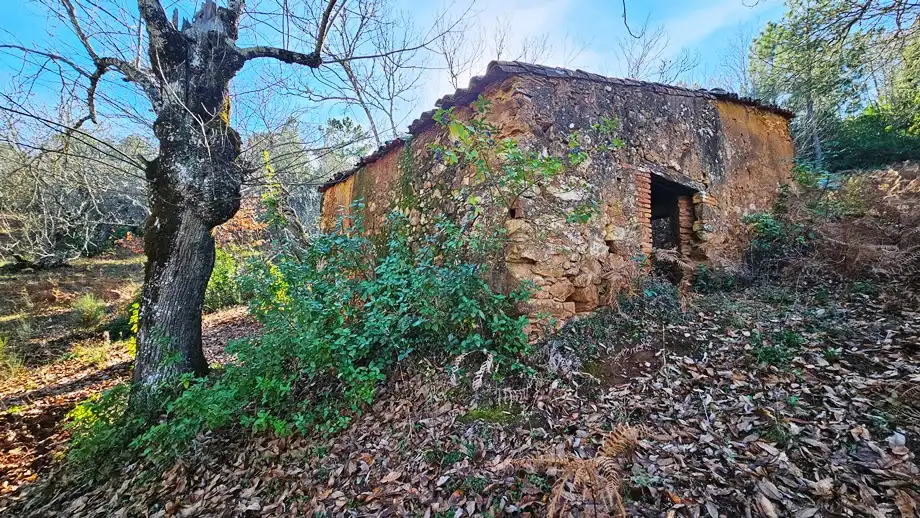 Terreni e lotti in vendita a Galaroza, imagen 7