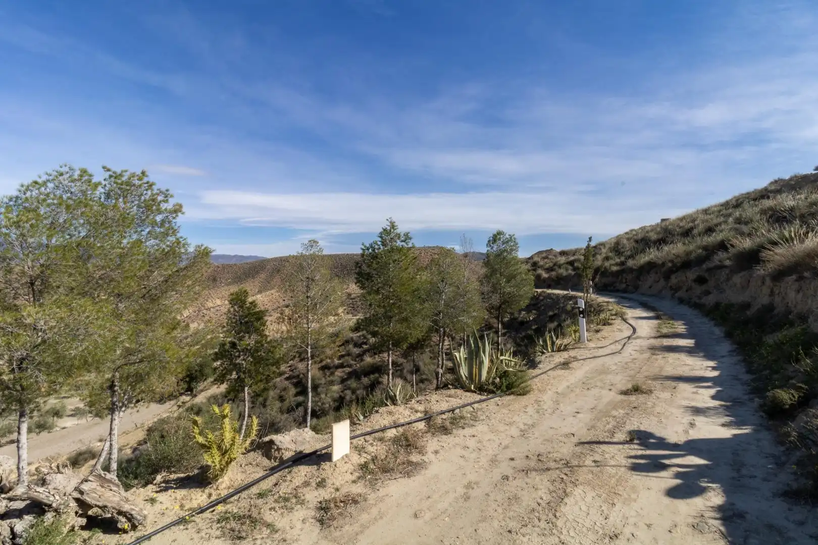 Rustikales Grundstück zum Verkauf in Tabernas, imagen 5