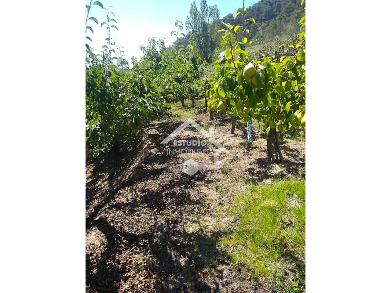 Rural land for sale in Calle Arbanta, imagen 15