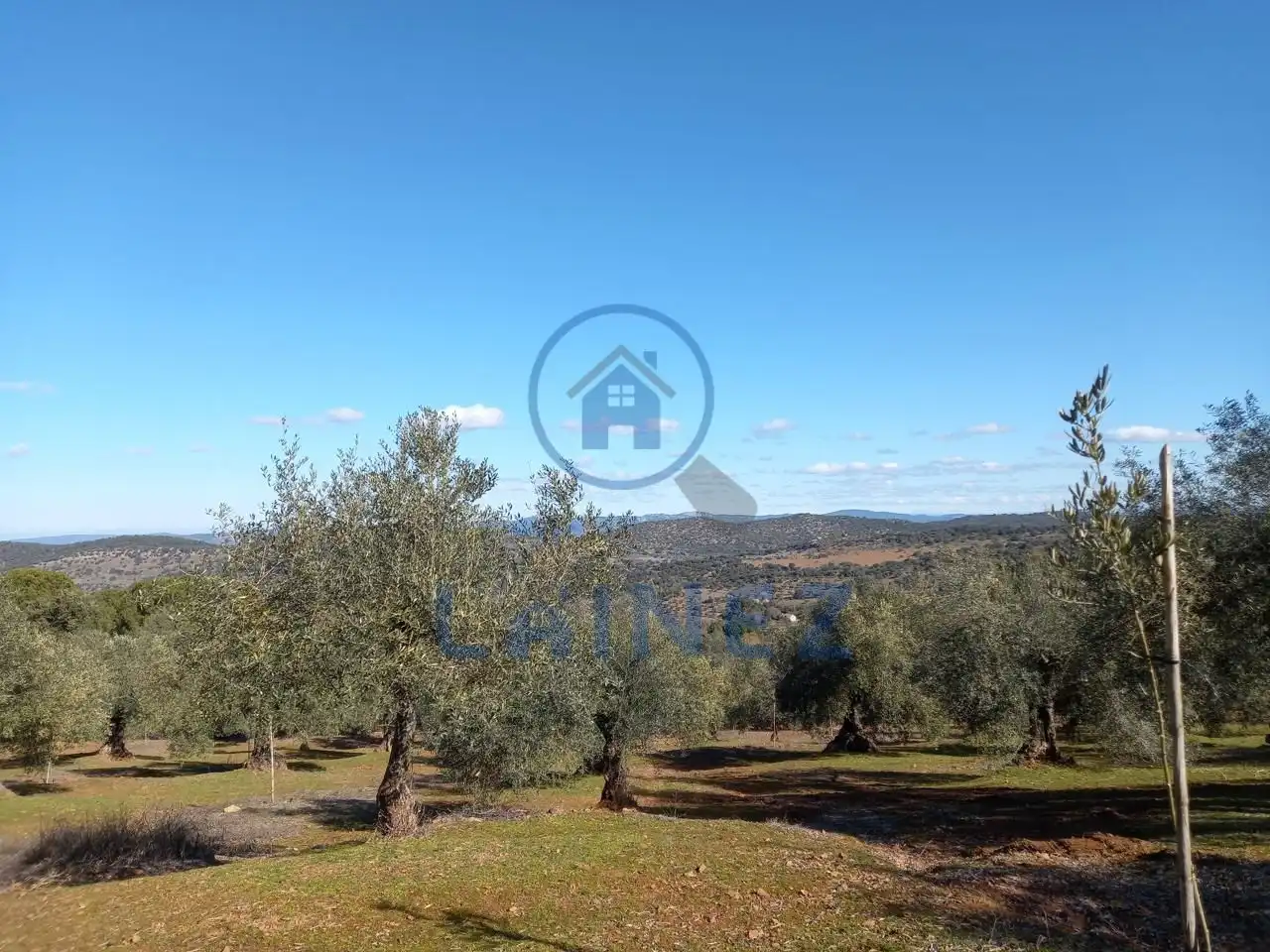 Terreno residenziale in vendita a Villanueva del Rey, imagen 44