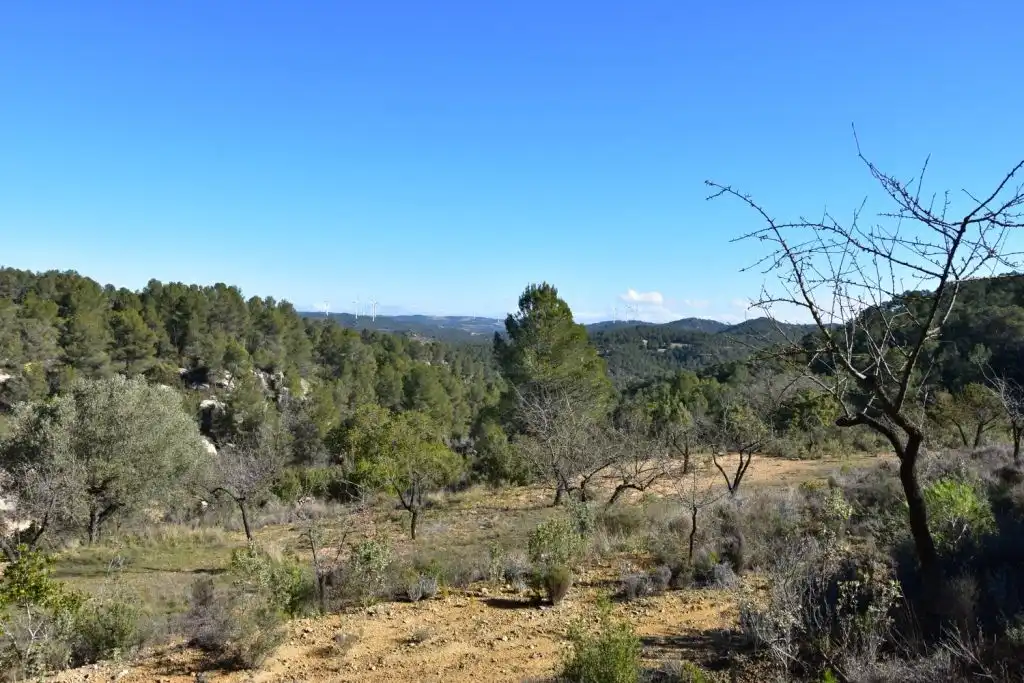 Finca rústica en venda en Arens de Lledó