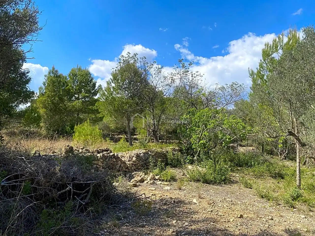 Terreno rustico in vendita a Ligallo de les Bordes, imagen 5