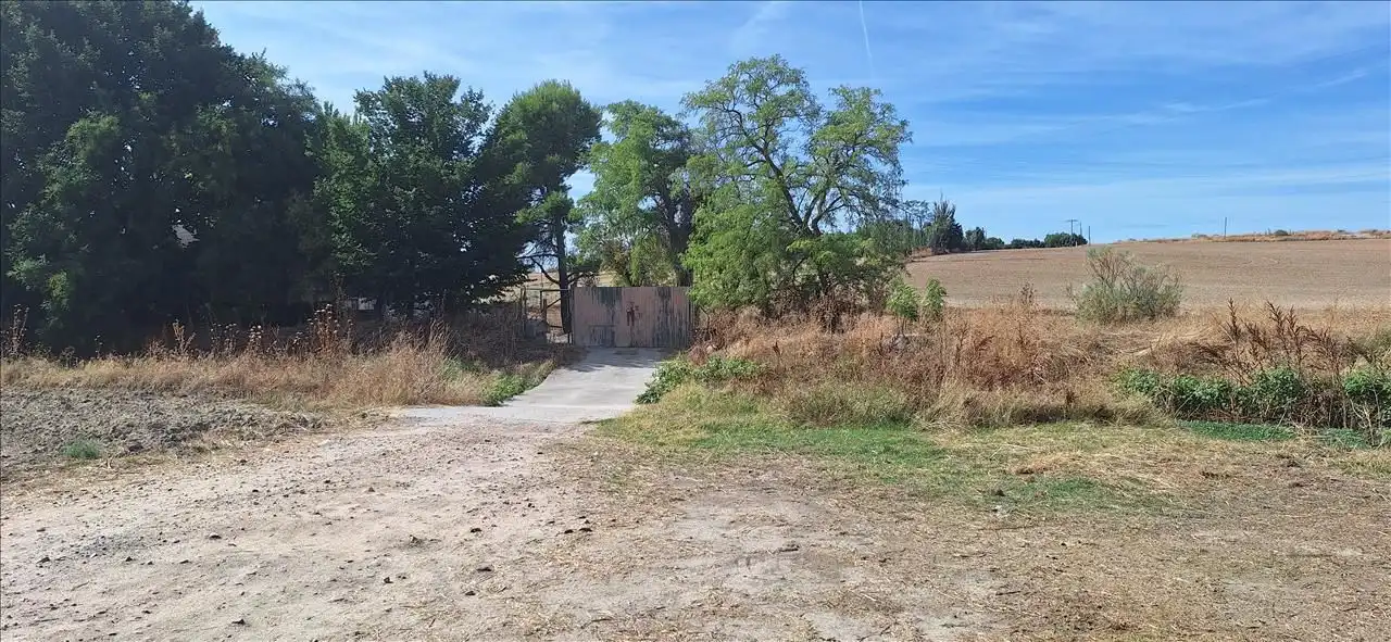Terreny rústic en venda a Calle EL TEJAR, imagen 2