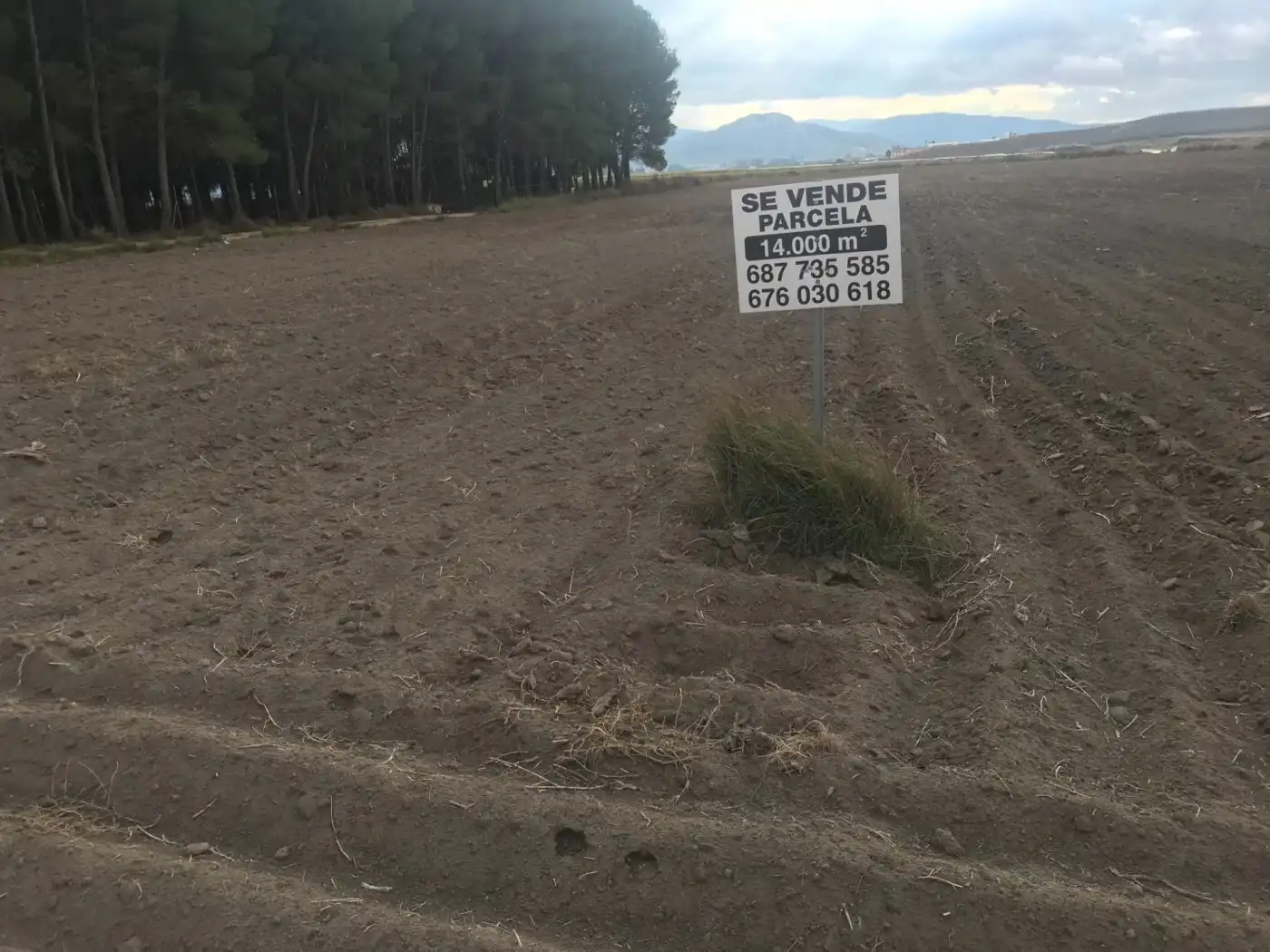Grundstücke zum Verkauf in Villena