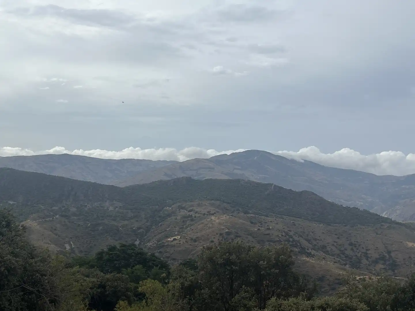 Vista exterior de Terreno en venta en La Taha
