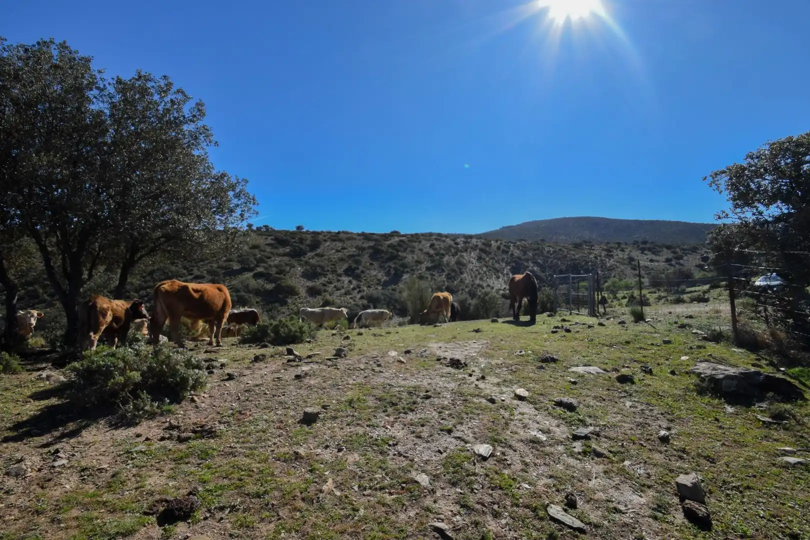 Terreno en venta en Paraje de las Perdices, Lugros