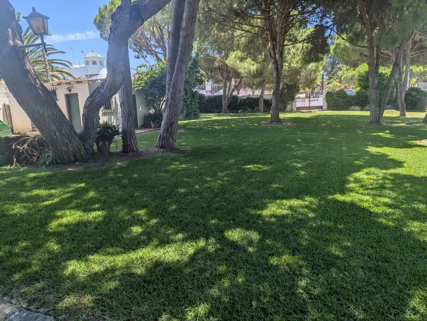 Xalet amb jardí en venda a La Barrosa, imagen 14