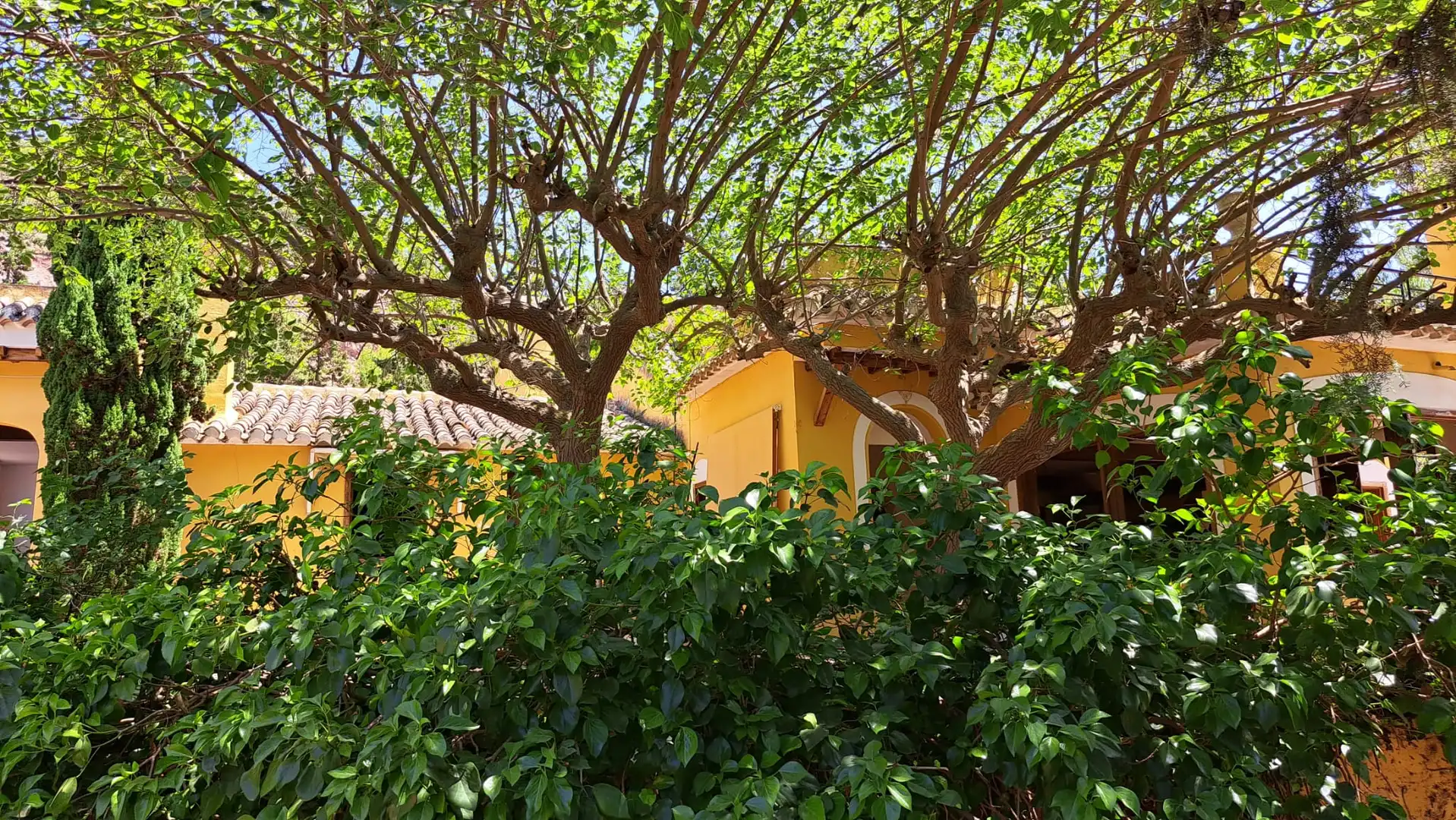 Jardín de Casa o chalet en venta en Alhama de Murcia con Jardín privado, Terraza y Trastero