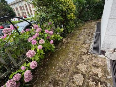 Rez-de-chaussée à vendre à Paseo de Helgueras