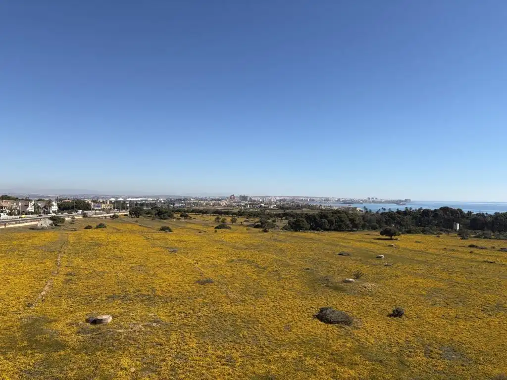 Apartment zum Verkauf in Playa del Acequión, Náufragos y Rocío del Mar, imagen 28