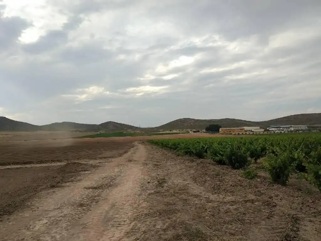 Country house for sale in Jumilla, imagen 3