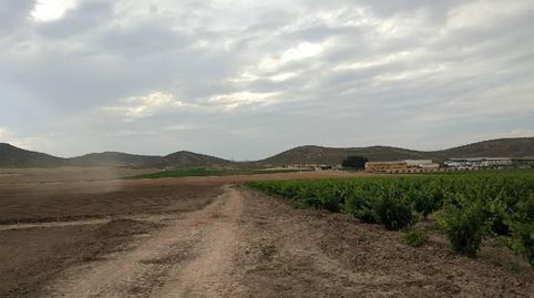 SE VENDE FINCA RUSTICA EN JUMILLA, imatge 3